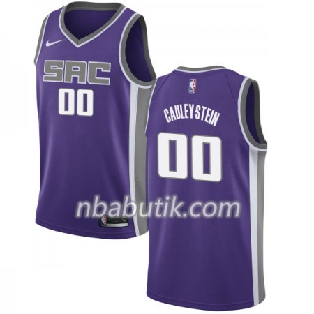 NBA Mænd Trøje Sacramento Kings Willie Cauley-Stein 00 Nike 2017-18 Lilla Swingman